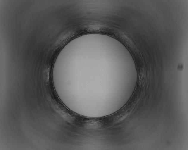 X0000090970454200708241319