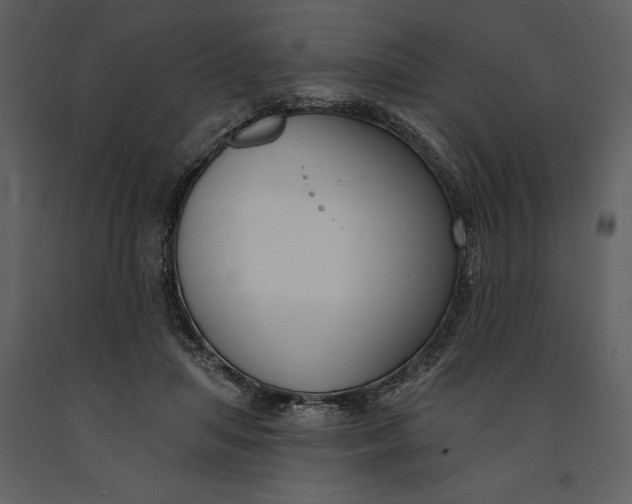 X0000090970455200708241319