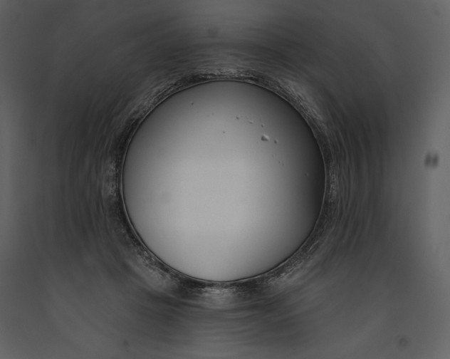 X0000090970457200708241319