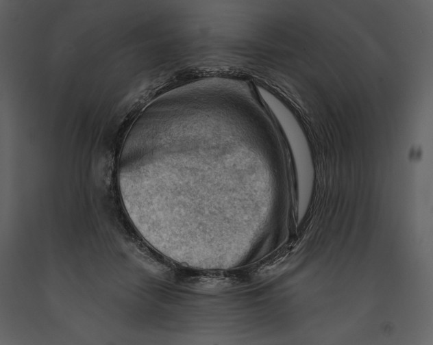 X0000090970458200708241319