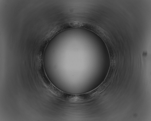 X0000090970460200708241319