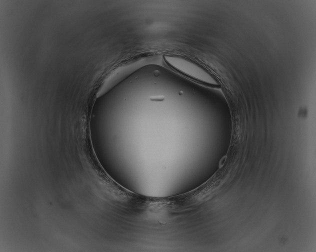 X0000090970461200708241319