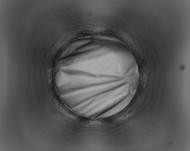 X0000090970462200708241319