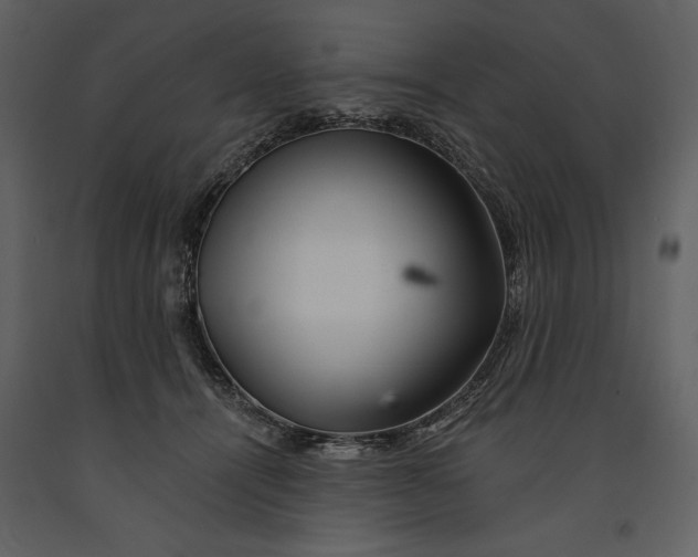 X0000090970464200708241319