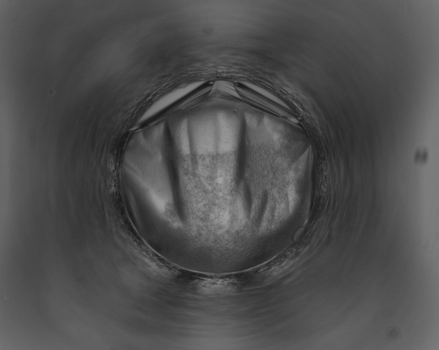 X0000090970465200708241319