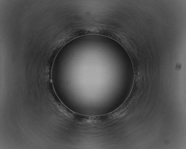 X0000090970466200708241319