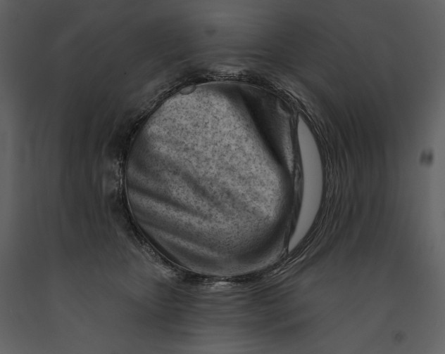 X0000090970467200708241319