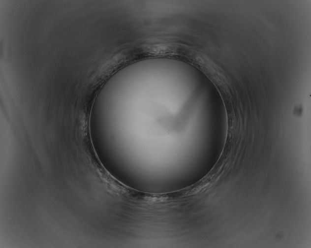 X0000090970469200708241319