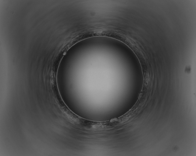 X0000090970470200708241319