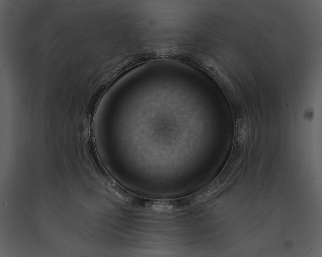 X0000090970471200708241319