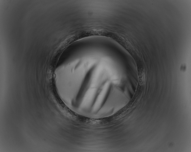 X0000090970472200708241319