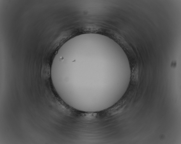 X0000090970474200708241319