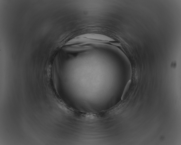 X0000090970475200708241319