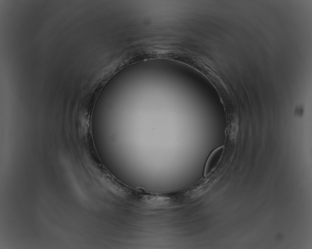 X0000090970476200708241319