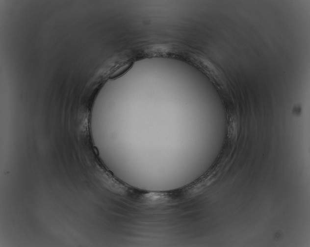 X0000090970477200708241319