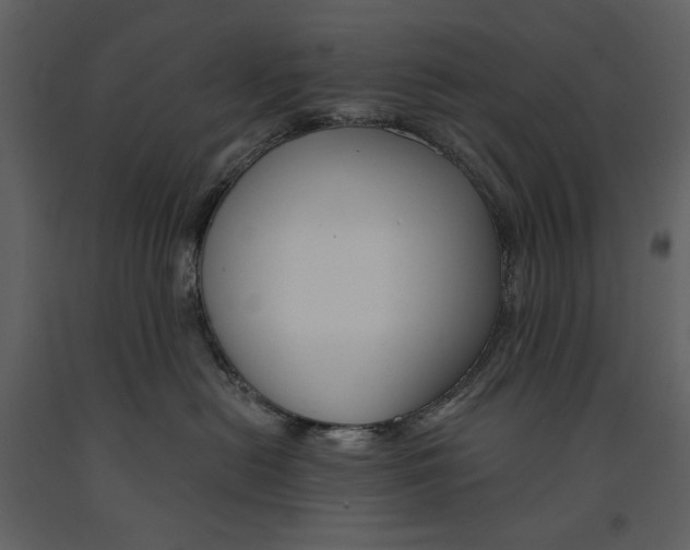 X0000090970478200708241319