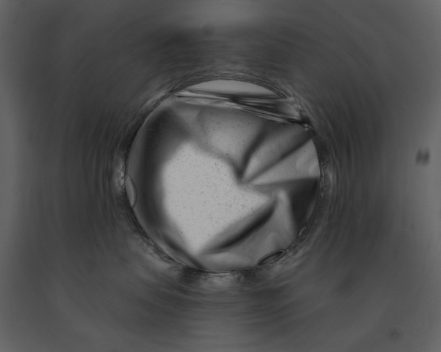 X0000090970479200708241319