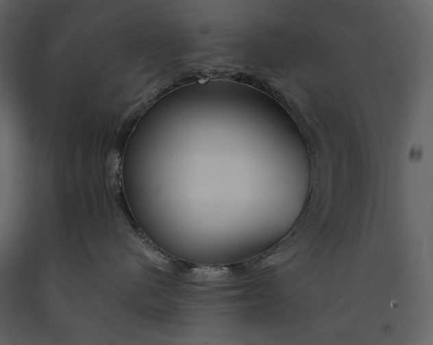 X0000090970480200708241319