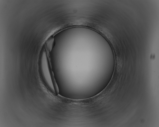 X0000090970482200708241319