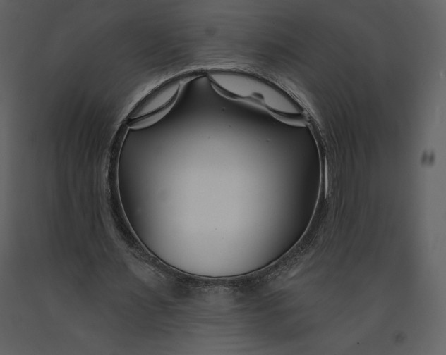 X0000090970483200708241319