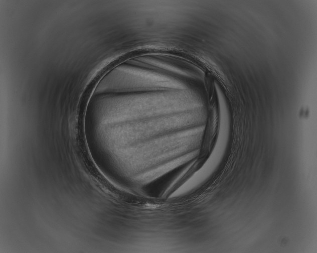 X0000090970484200708241319