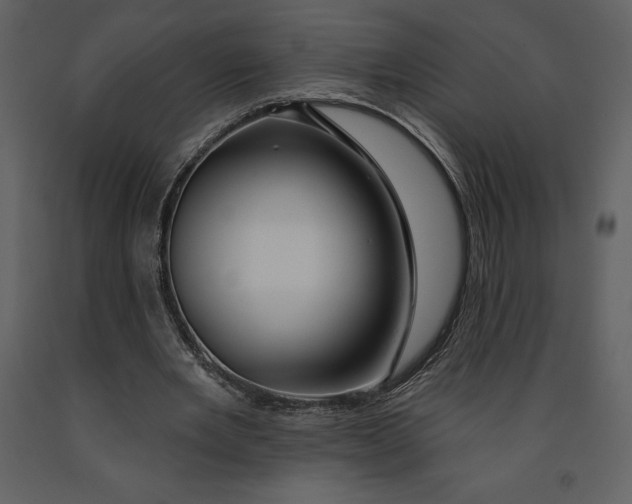 X0000090970485200708241319