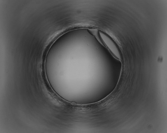 X0000090970486200708241319