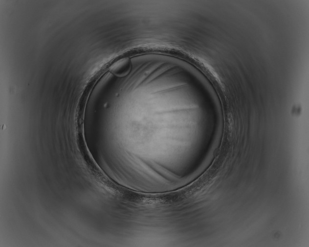 X0000090970487200708241319