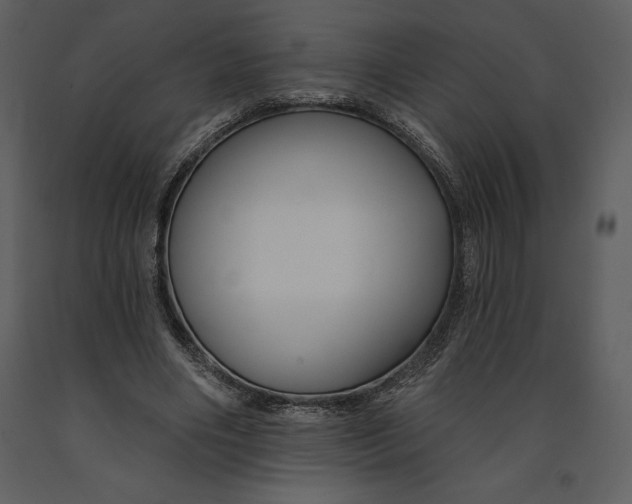 X0000090970490200708241319