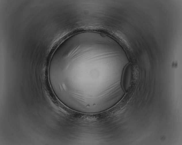 X0000090970491200708241319