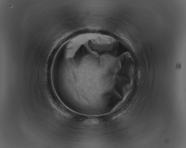 X0000090970492200708241319