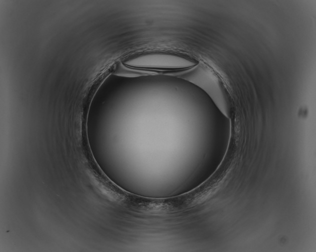 X0000090970493200708241319