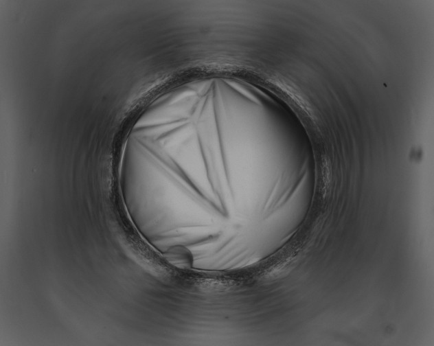 X0000090970494200708241319