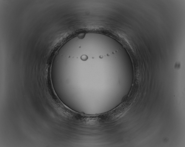 X0000090970495200708241319