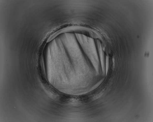 X0000090970496200708241319