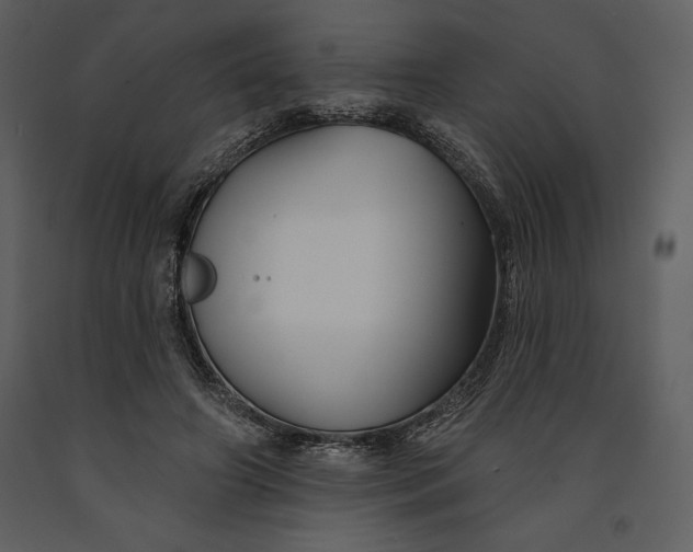 X0000090970498200708241319