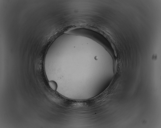 X0000090970499200708241319