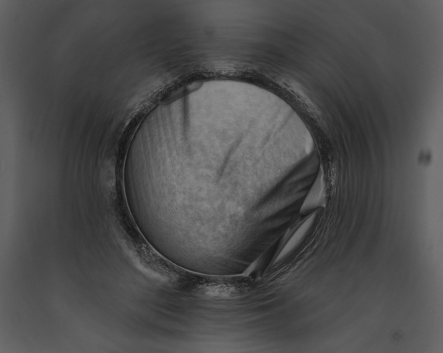 X0000090970500200708241319