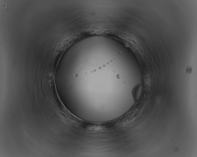 X0000090970503200708241319