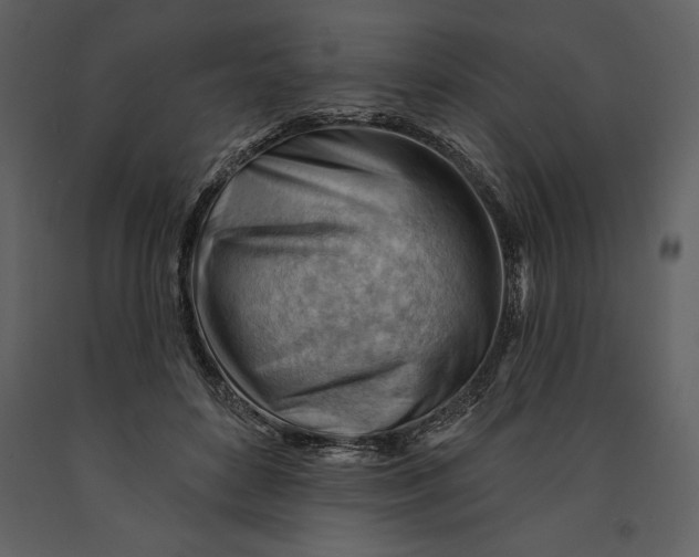 X0000090970504200708241318