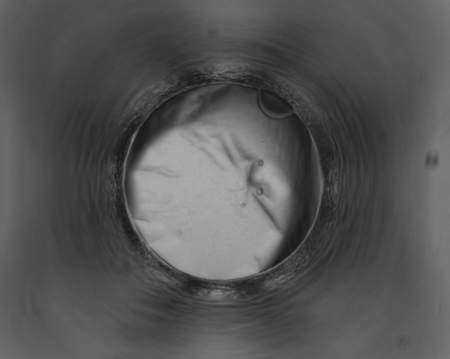 X0000090970506200708241318