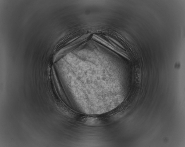 X0000090970507200708241318