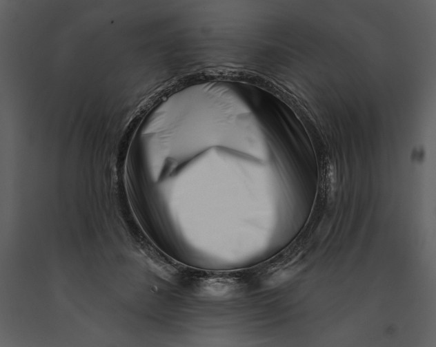 X0000090970508200708241318