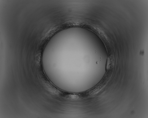 X0000090970509200708241318