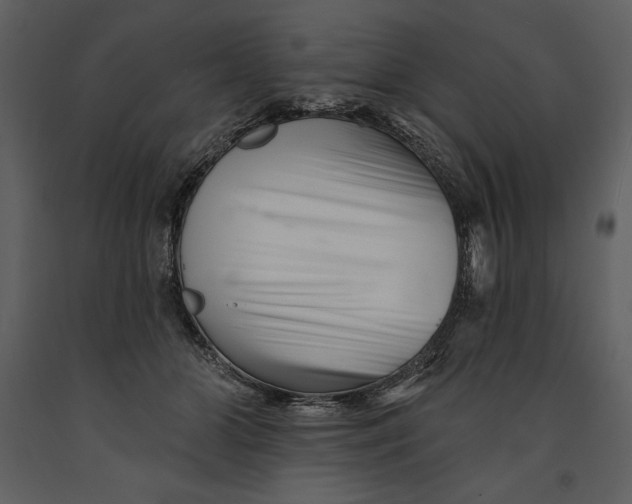 X0000090970510200708241318