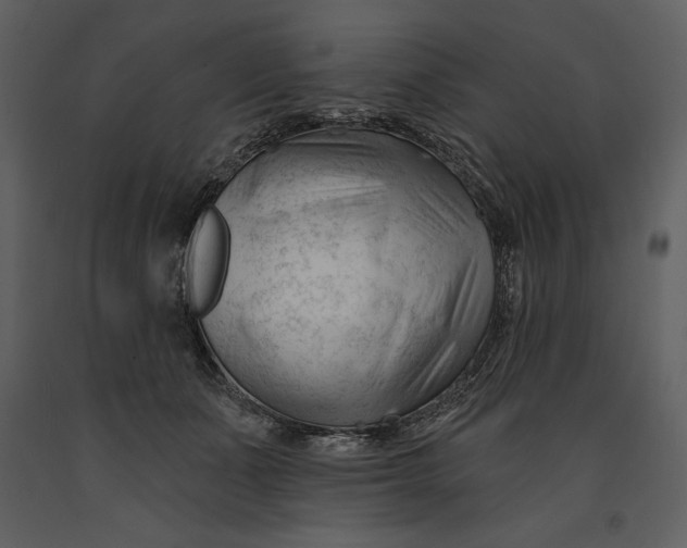 X0000090970511200708241318