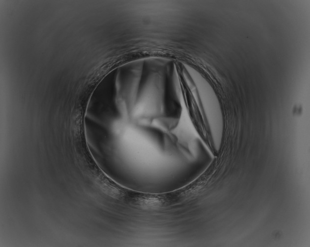 X0000090970513200708241318