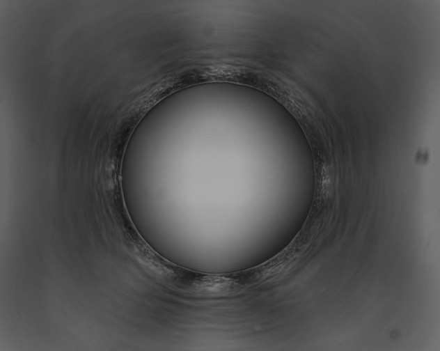 X0000090970514200708241318