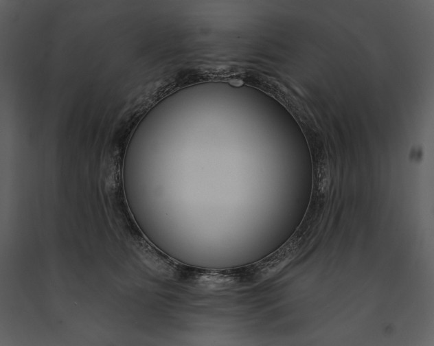 X0000090970515200708241318