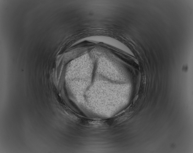 X0000090970516200708241318